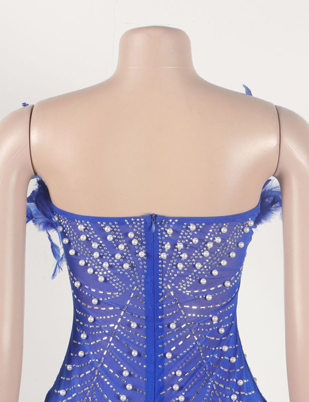 Blue Feather Detail Rhinestones Mesh Bodycon Dress