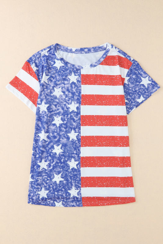 Stripe American Flag Print Distressed Crew Neck T Shirt