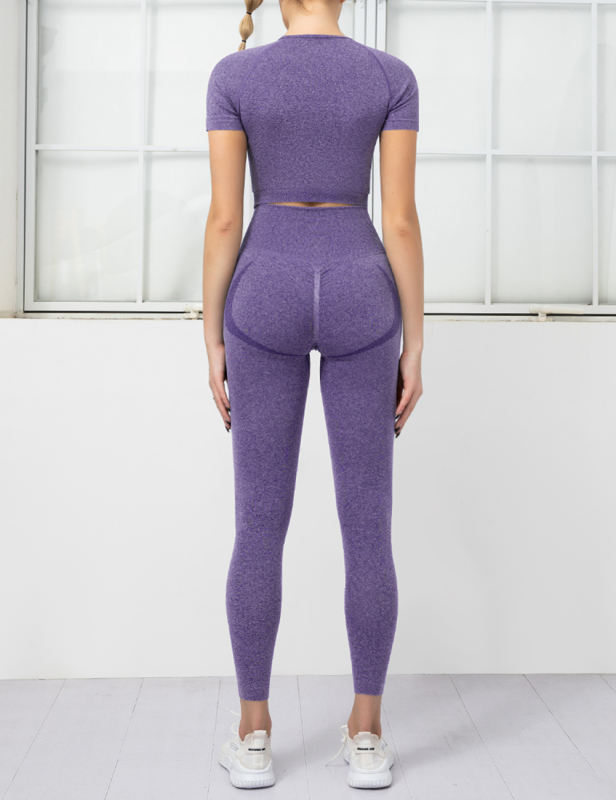 Purple Seamless Short Sleeve Top and Fitness Legging Sports Set