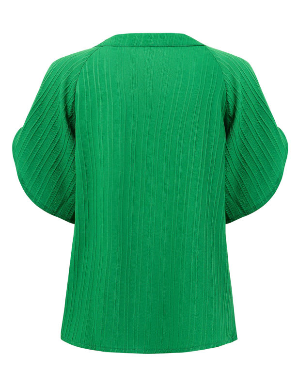 Green Solid Color V-Neckline Textured Blouse