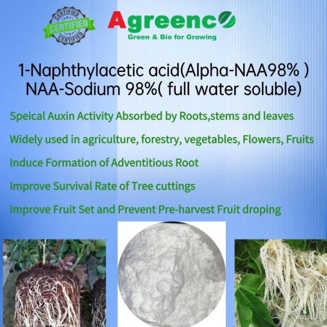 1-Naphthylacetic acid(Alpha-NAA98% ) /NAA-Salt 98%