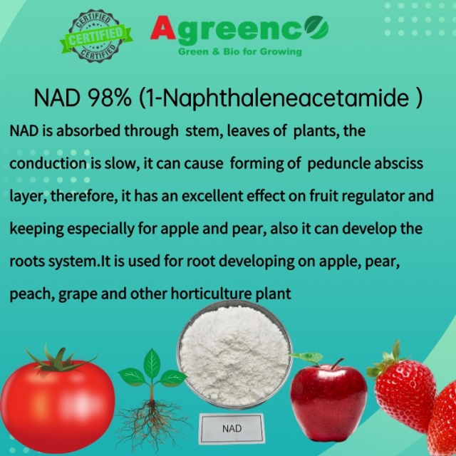 Naphthaleneacetamide（NAD） 98%TC.