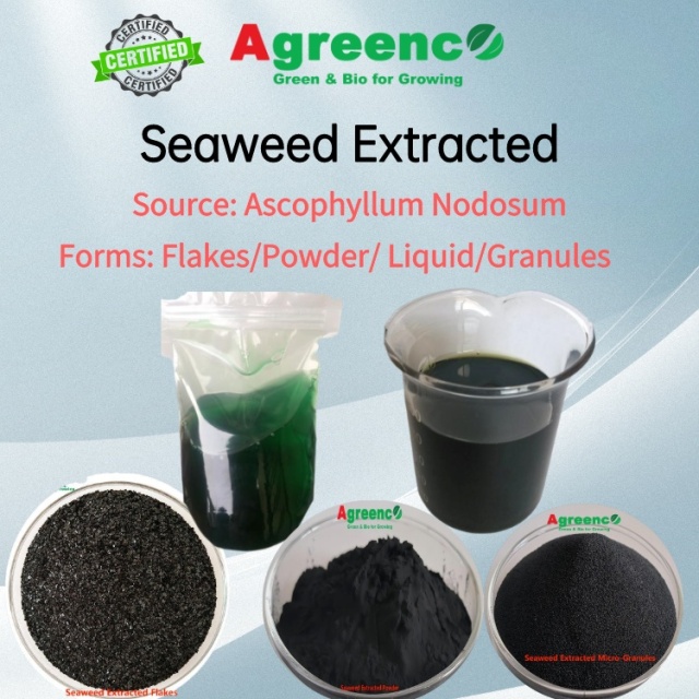 Seaweed Extracted Serials