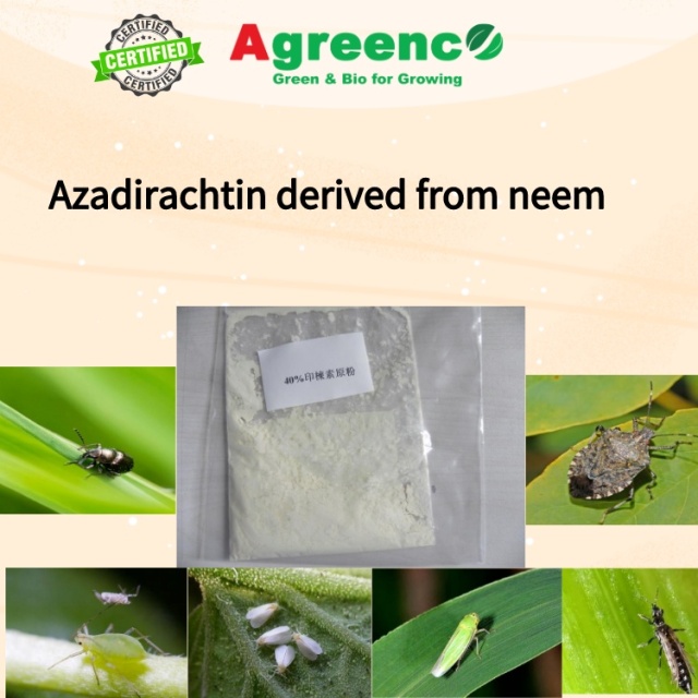 Azadirachtin derived from neem