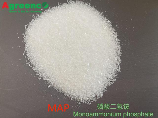 MONOAMMONIUM PHOSPHATE  (MAP) 99%