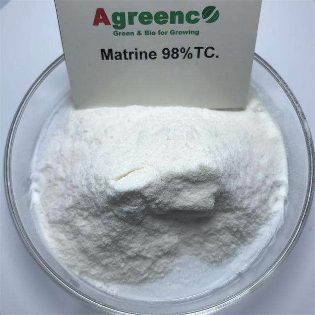 Matrine 98%-90%; 5%,10% mother liquid; 1.5%LS