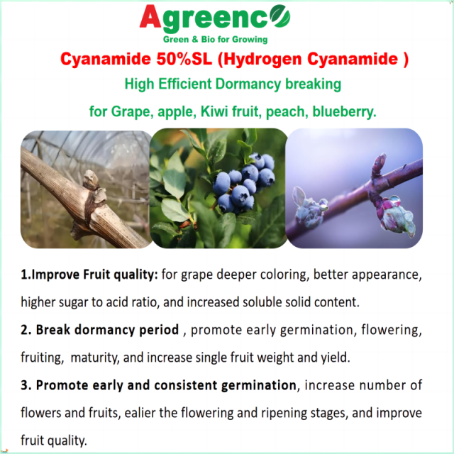 Hydrogen Cyanamide 50%SL to Break Dormancy for Grape/Apple/Kiwi Fruit Trees