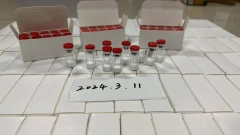 SNAP - 8 (16mg)