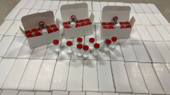 Hot Selling Wholesale Price Bpc Hormone Peptide Human Growth Freeze-Dried Powder Bpc 2mg 5mg for Muscle Building
