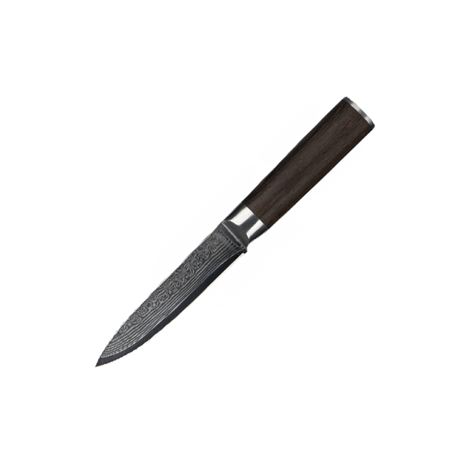 5 inch Hot Sale VG-10 67 Layers Damascus Kitchen Utility Knife With Pakka Wood Handle Damascus Steel Knife