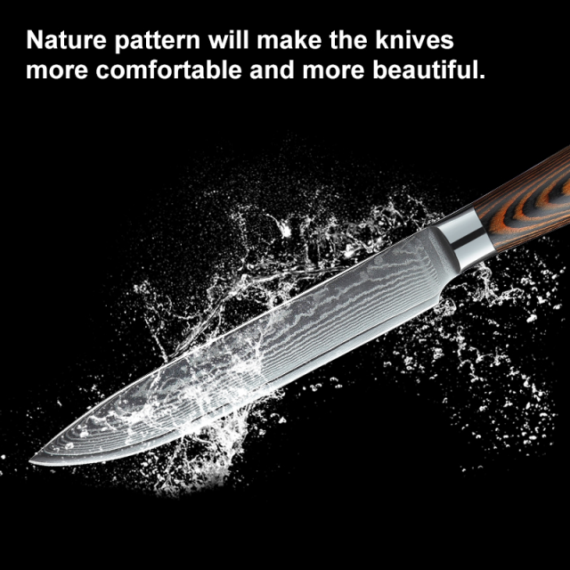 5 inch Hot Sale  67 Layers Damascus Kitchen Utility Knife With Pakka Wood Handle Damascus Steel Knife
