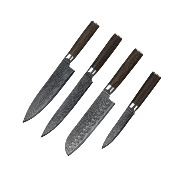 High Quality DG10 67 Layers Damascus Pakka Wood Handle Damascus 4pcs Knife set