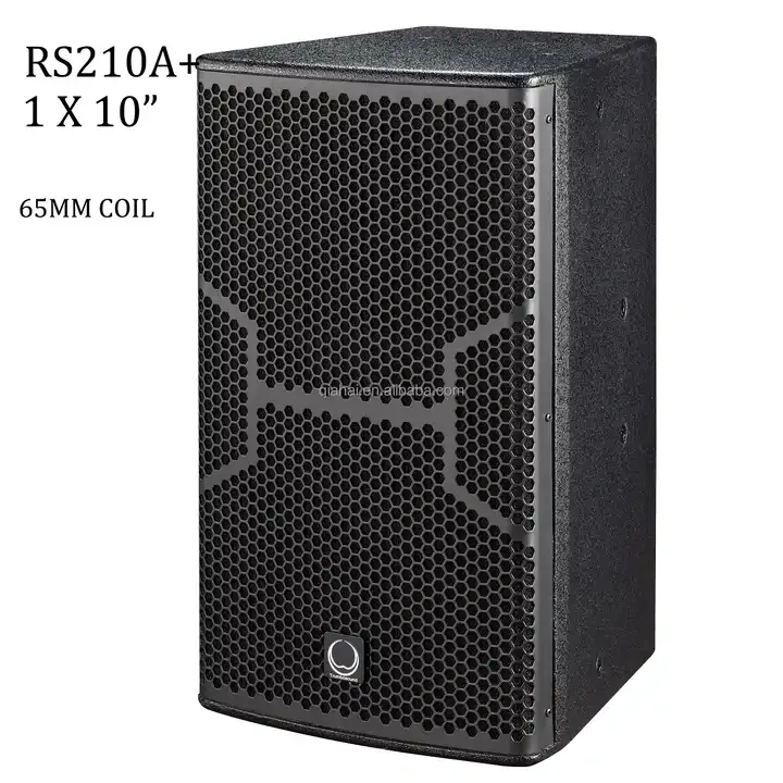 Passive RS Series 10 12 Inch RS210A Single 10 Inch Two Way Full Range Speaker RMS 250W DJ Audio Club Bar Disco KTV Audio Speaker