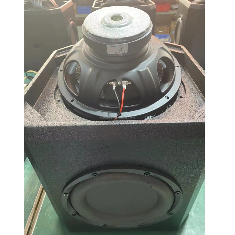TR12BA Active 12 Inch Subwoofers With Amps Module 300W 35Hz-250Hz Sub Woofer Speakers For Party Club Karaoke KTV Can Add Logo