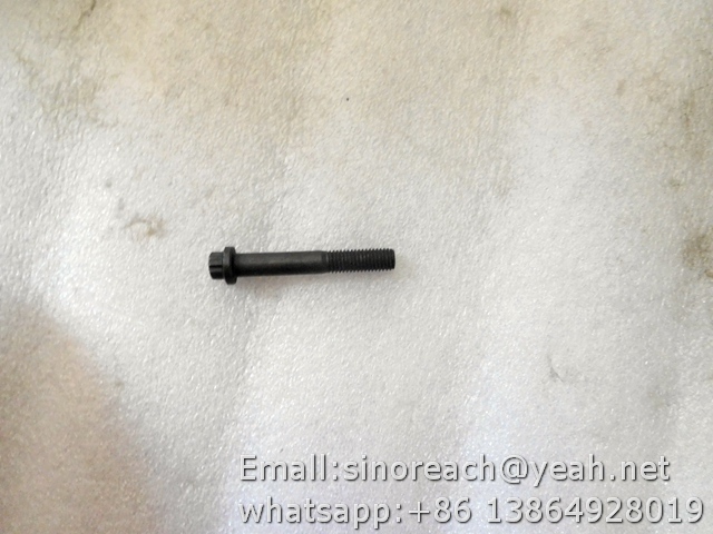 Twelve angle head bolts 3901617