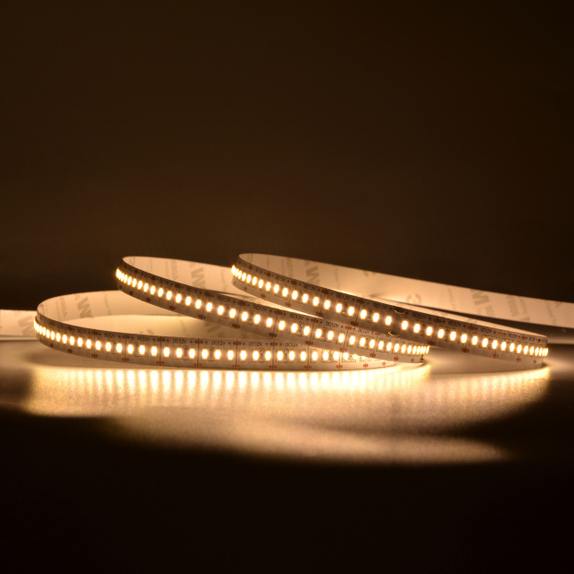 10mm 12V/24V 240leds/m 3014 LED strip