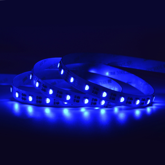 12mm 24V 60leds/m 5050 LED strip