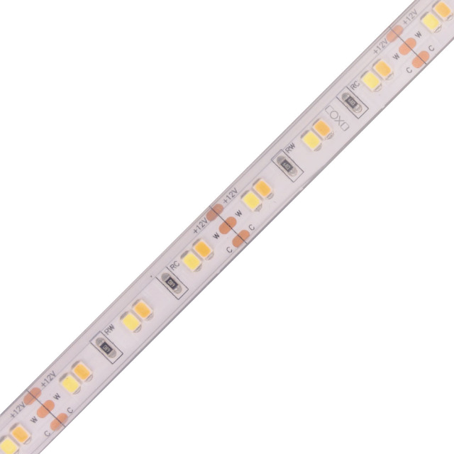 10mm 12V 120leds/m 2835 CCT LED strip