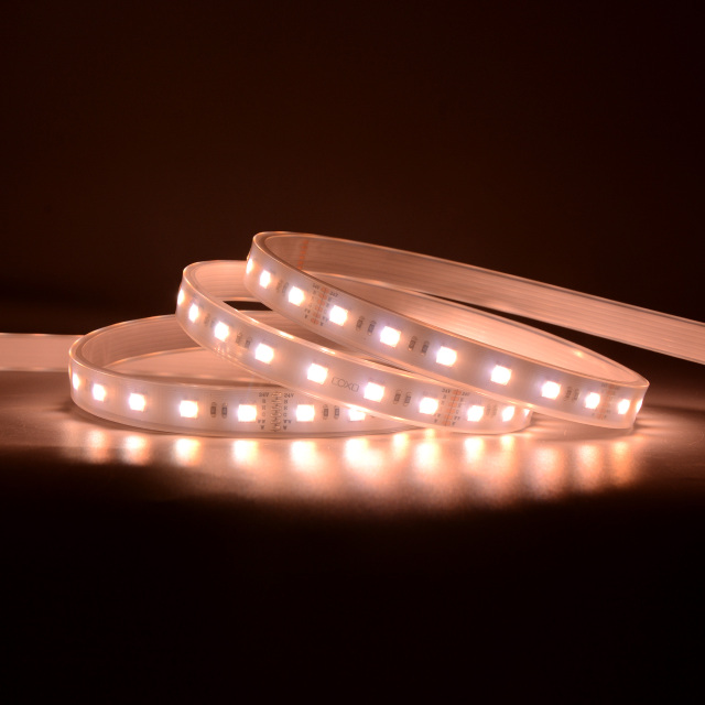 12mm 24V 60leds/m 5050 RGBCCT LED strip