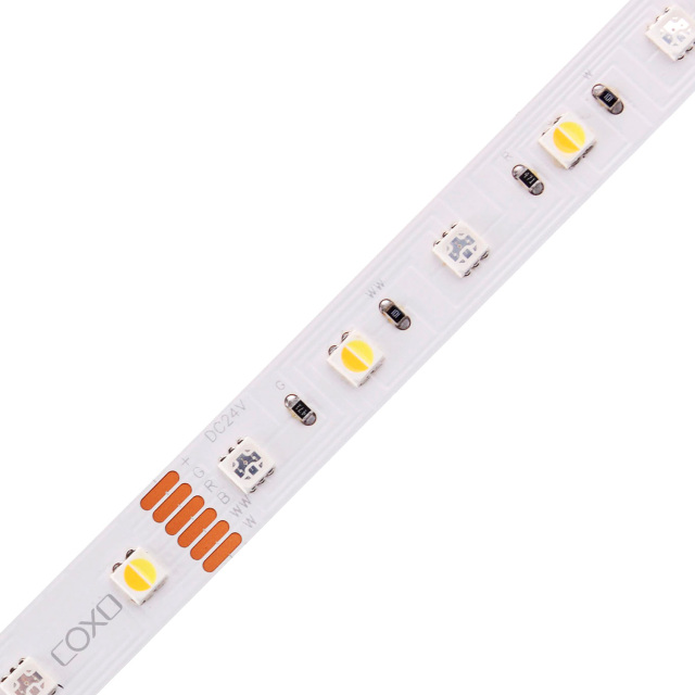 10mm 24V 72leds/m 4040 & 3838 RGBCCT LED strip