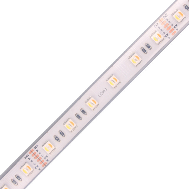 12mm 24V 60leds/m 5050 RGBCCT LED strip