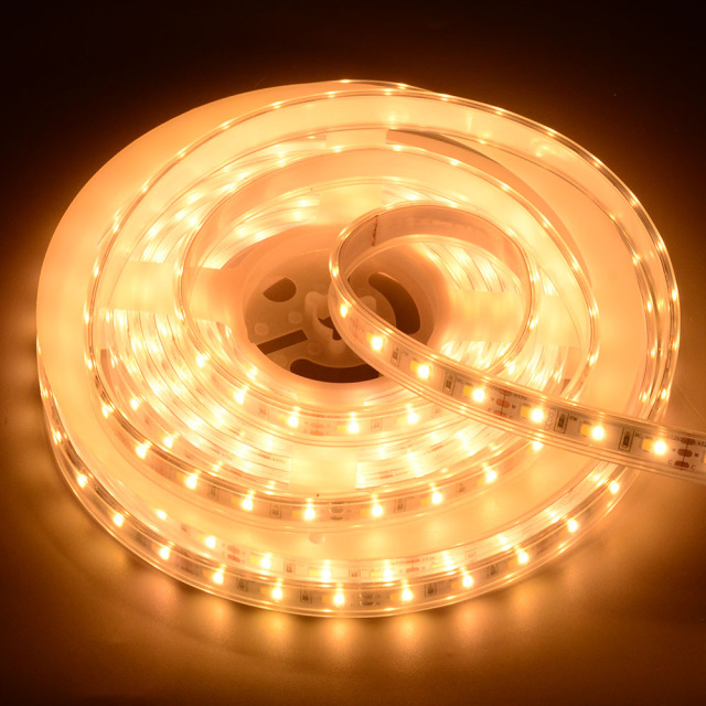 10mm 12V 120leds/m CCT 2835 LED strip