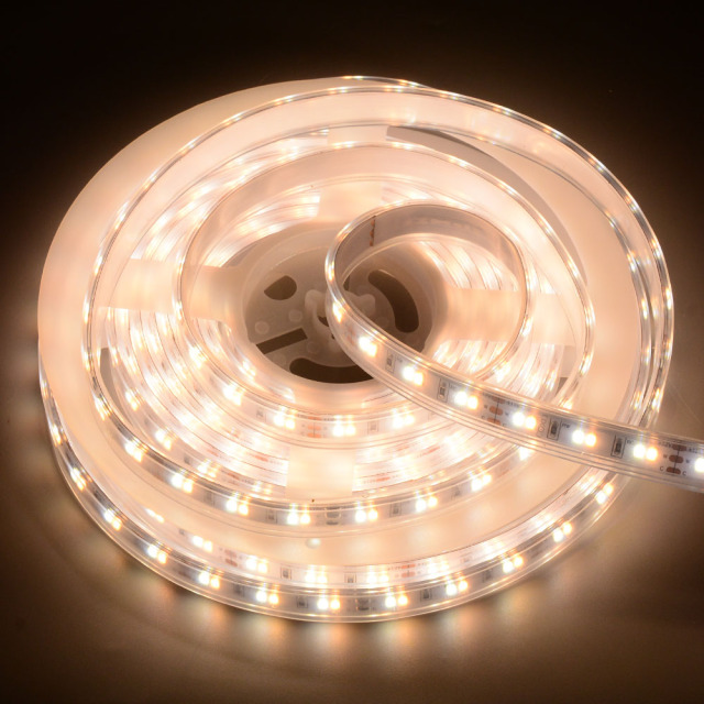 10mm 12V 120leds/m CCT 2835 LED strip