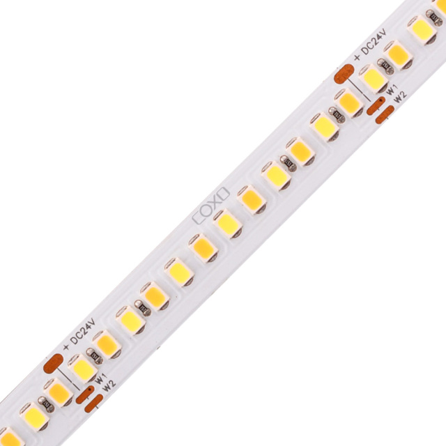 10mm 24V 216eds/m CCT 2835 LED strip