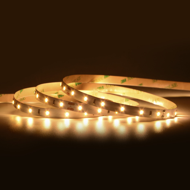 8mm 12V/24V 60leds/m 2 in 1 CCT 2835 LED strip