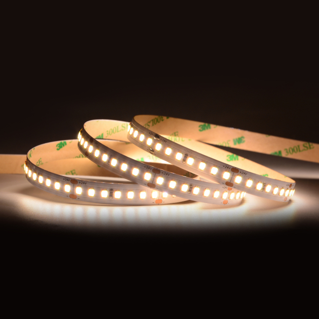 10mm 24V 168leds/m 2 in 1 CCT 2835 LED strip