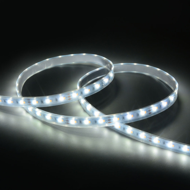 10mm 12V 120leds/m CCT 2835 LED strip