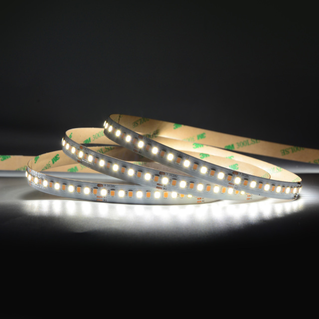 10mm 24V 216eds/m CCT 2835 LED strip