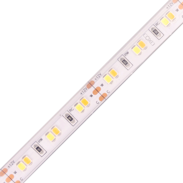 10mm 12V 120leds/m CCT 2835 LED strip