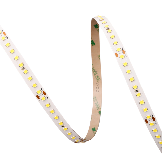 10mm 24V 144leds/m High Efficiency 2835 LED strip