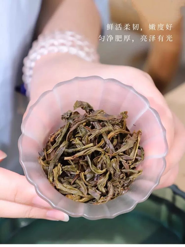 Duck shit fragrant Phoenix Dancong Oolong tea Chaozhou 250g.500g