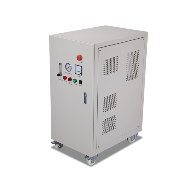 5G 10G 20G 30G Air Cooling Way Ozone Generator With Oxygen For Aquaculture