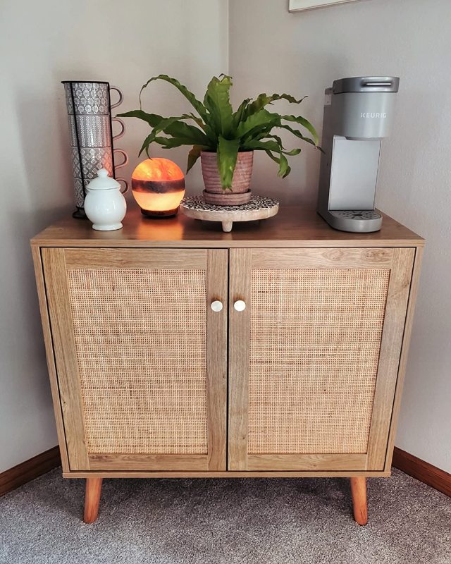 Storage Cabinet with Adjustable Shelf and 2 Door