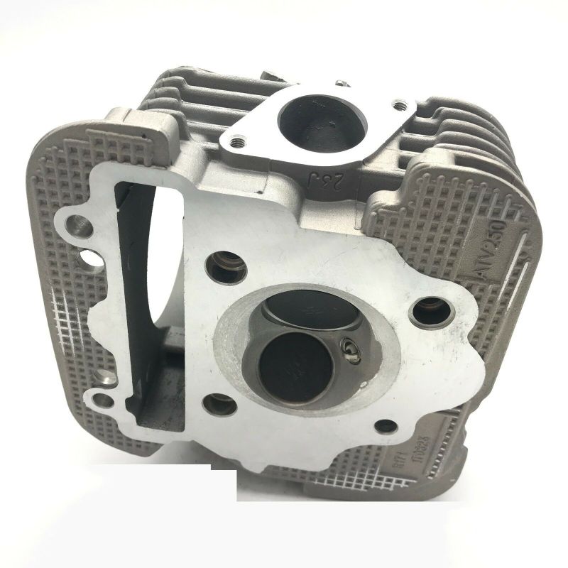 New Cylinder For Yamaha Timberwolf 250 Jianshe JS250 YFB250 Cylinder Head And Valve Assembly ATV UTV