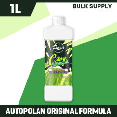 1L