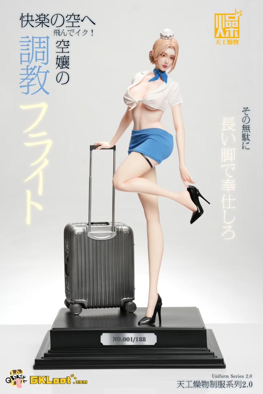 TianGongZaoWu Studio 1/4 Original Flight Attendant Statue - View 5 TianGongZaoWu Studio 1/4 Original Flight Attendant Statue - View 5