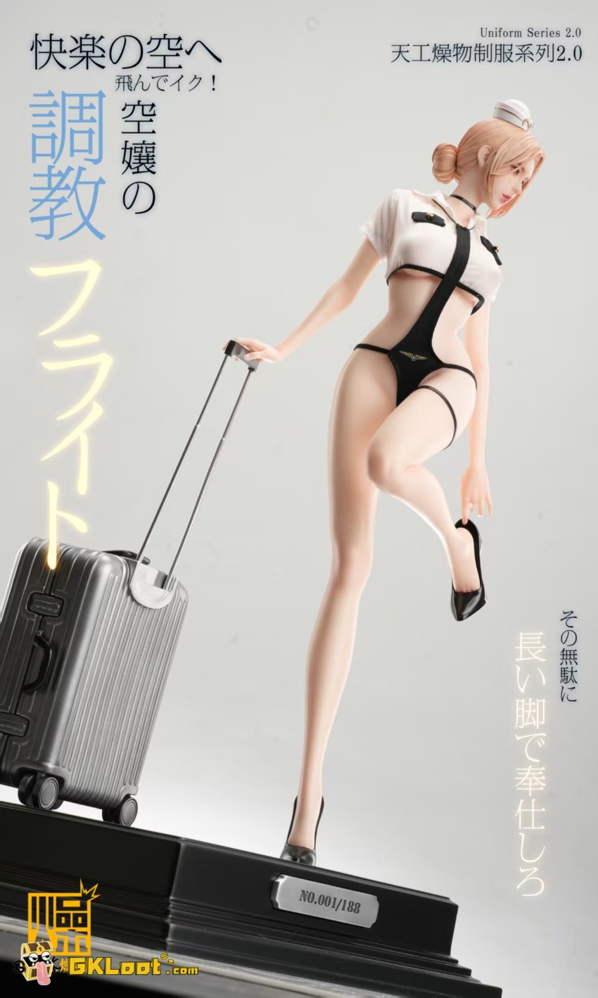 TianGongZaoWu Studio 1/4 Original Flight Attendant Statue - View 8 TianGongZaoWu Studio 1/4 Original Flight Attendant Statue - View 8