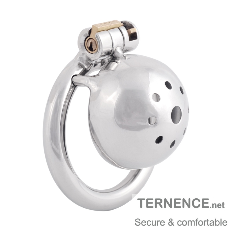 TERNENCE Metal Chastity Device Male Comfortable Virginity Lock Chastity Belt with Small Cage