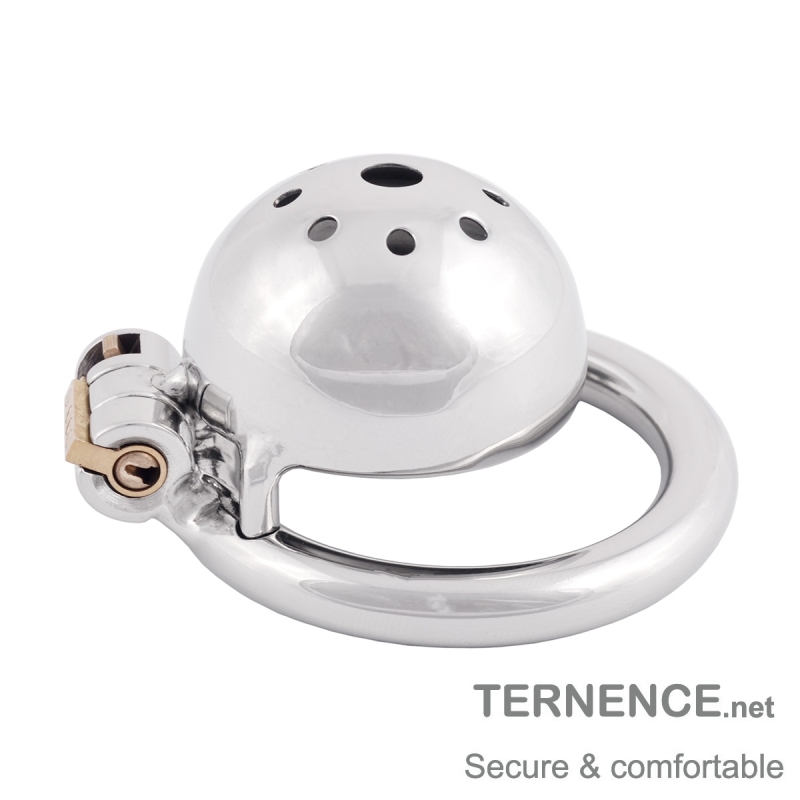 TERNENCE Metal Chastity Device Male Comfortable Virginity Lock Chastity Belt with Small Cage