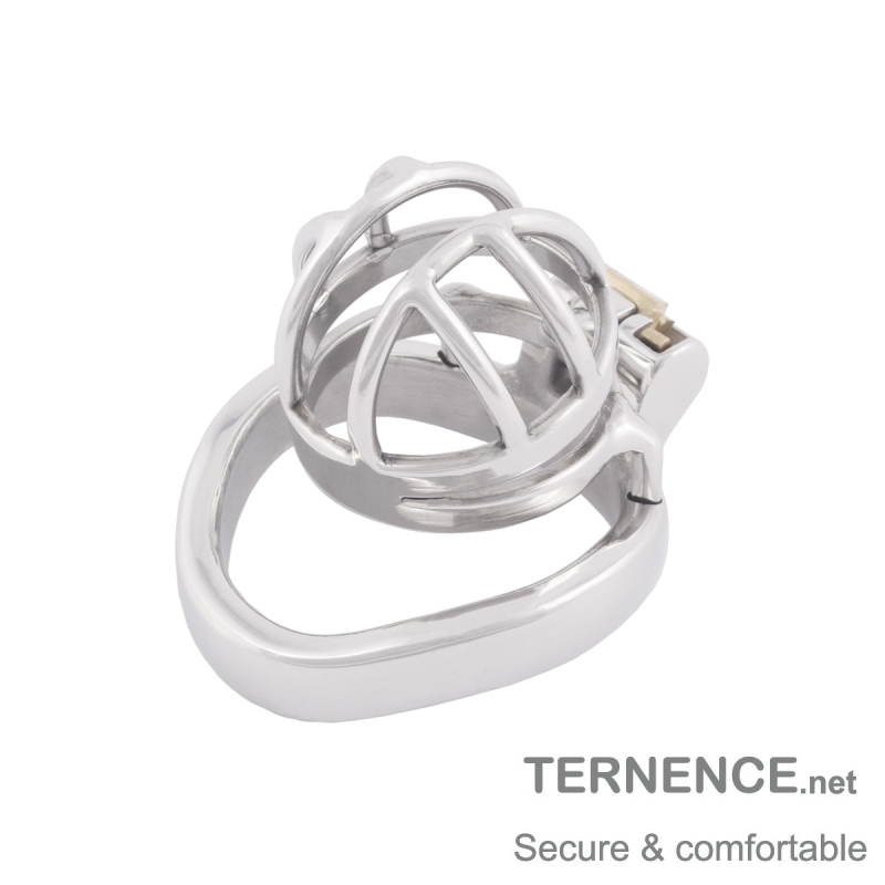 TERNENCE Small Male Chastity Belt Ergonomic Design Cock Cage Sex Toy