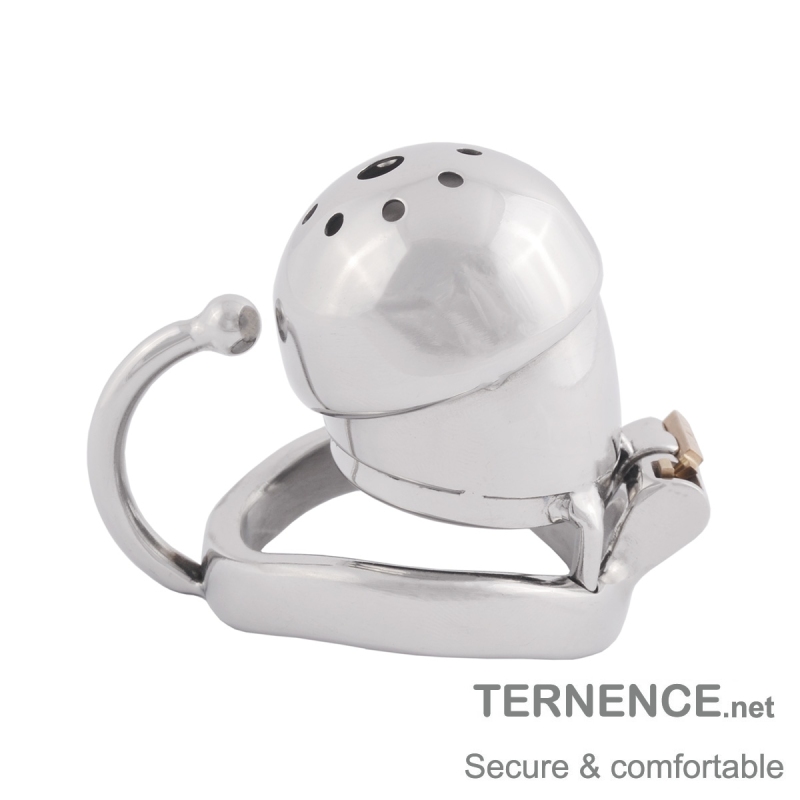 TERNENCE Male Chastity Cage Stealth Lock for Adults Solitary Extreme Confinement Cage