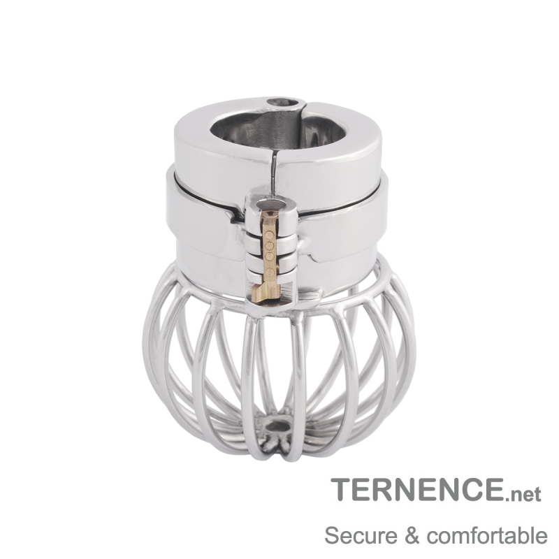 TERNENCE Male Chastity Device Stainless Steel Cage Cock Ring Ball Stretchers