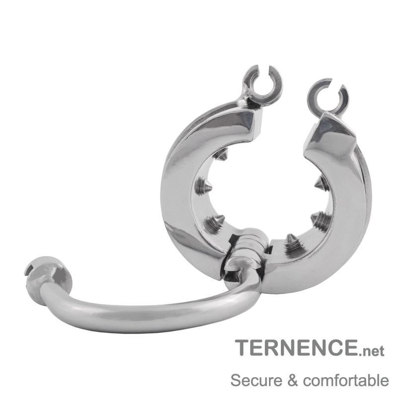 TERNENCE Cage Cock Ring Ball Stretchers Stainless Steel SM Exercise Sex Toys