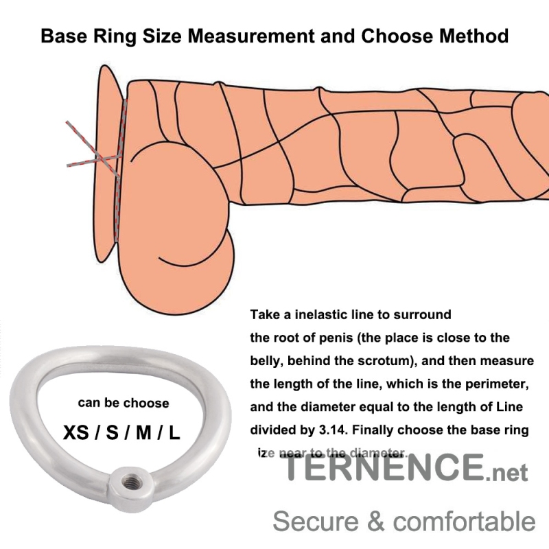 TERNENCE Male Virginity Lock Small Male Ergonomic Design Easy to Wear Cock Cage