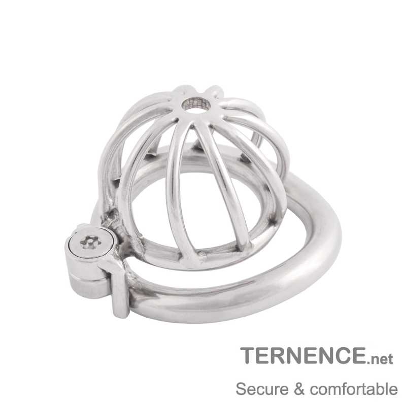 TERNENCE Male Virginity Lock Small Male Ergonomic Design Easy to Wear Cock Cage