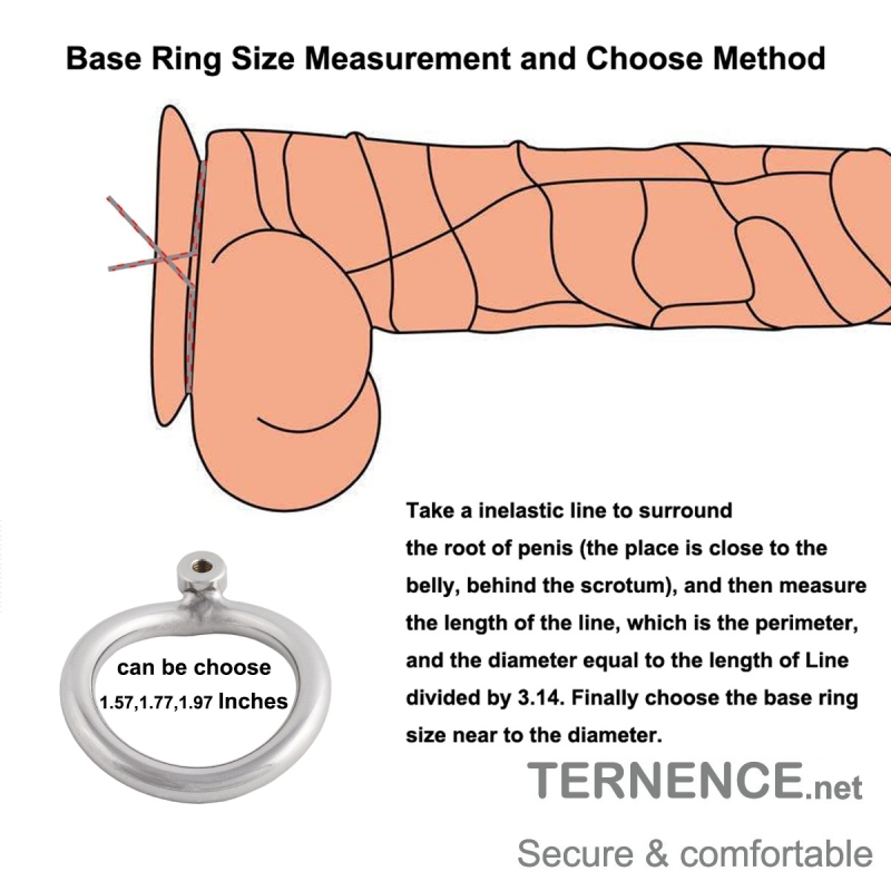 TERNENCE Male Chastity Device Cock Cage Base Ring Spares 304 Stainless Single nut Ergonomic Design